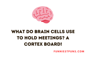 130 Funny Brain Puns And Jokes Mind Bending Humor Funniest Puns