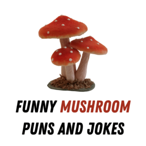 Funny Mushroom Puns And Jokes Laughing In The Shroom Funniest Puns