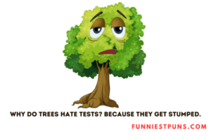 Funny Tree Puns And Jokes Rooted In Humor Funniest Puns