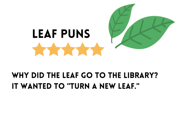 Leaf puns and jokes