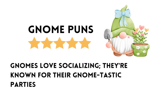 Funny Gnome puns