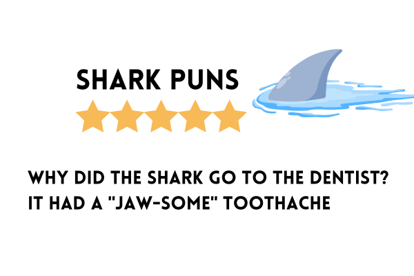 Shark puns and jokes