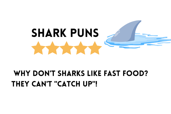 Shark puns