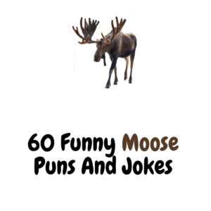 60+ Funny Moose Puns And Jokes: A Riot of Humor