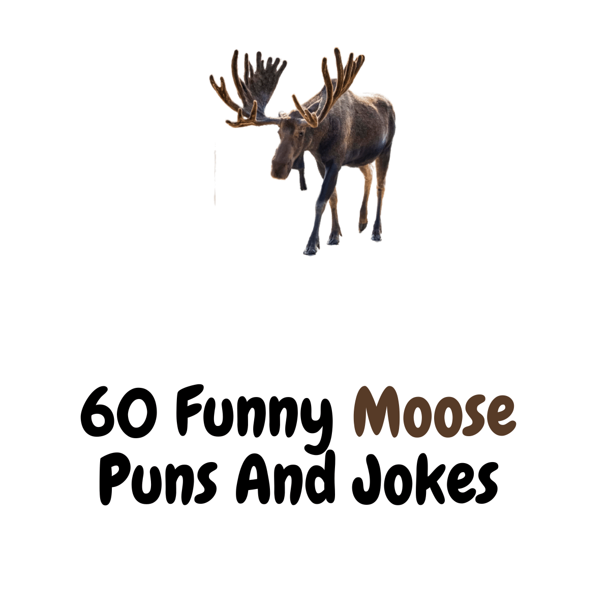 Funny Moose Puns And Jokes