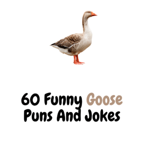 60+ Funny Goose Puns And Jokes: Quack Your Way To Laughter