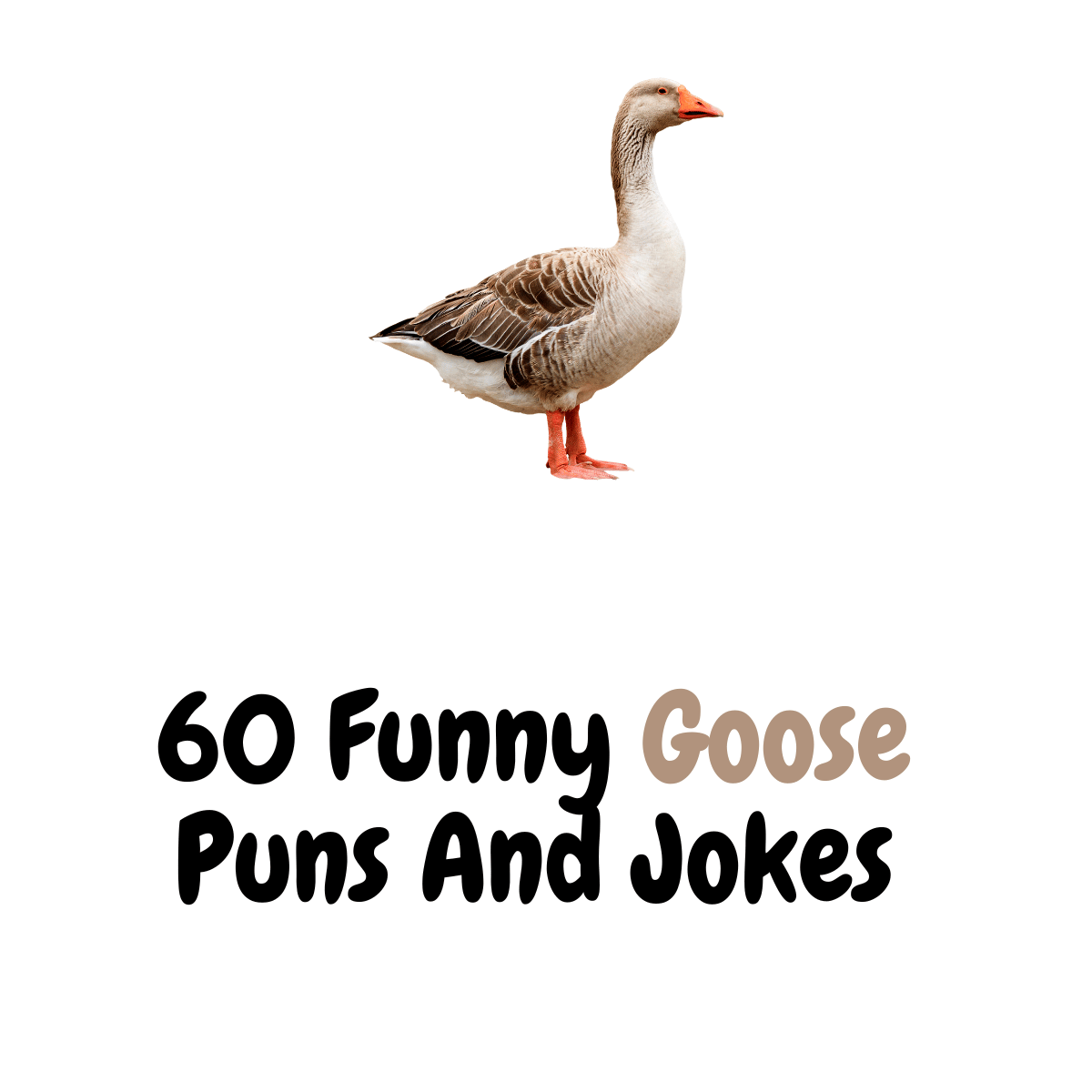 Funny Goose Puns And Jokes