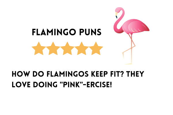 Flamingo puns and jokes