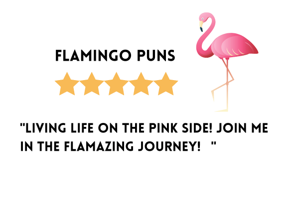 Flamingo puns for Instagram
