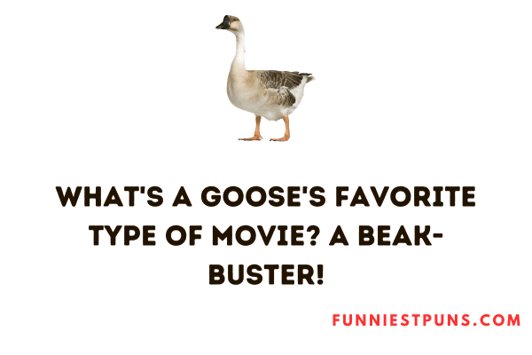 Funny Goose Puns