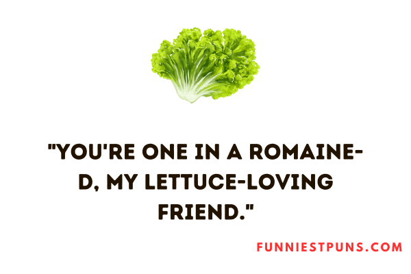 Lettuce Puns Jokes