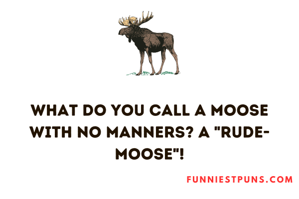 Funny Moose Puns Caption