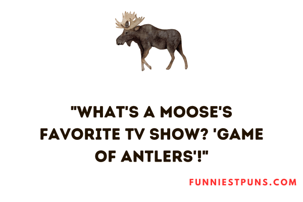 Funny Moose Puns
