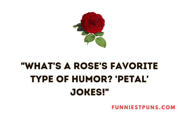 Funny Rose Puns