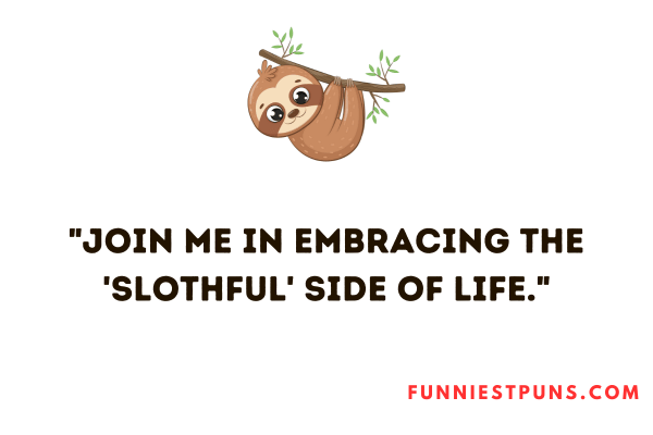 Funny Sloth Puns Caption