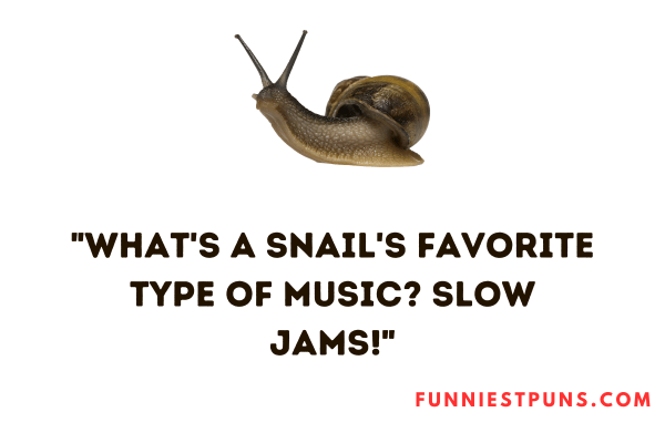 Funny Snail Puns Caption