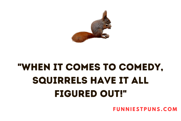 Funny Squirrel Puns Liner