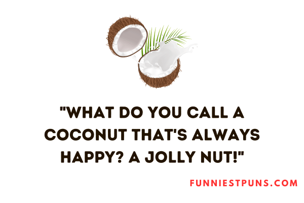 Coconut Puns One-Liners