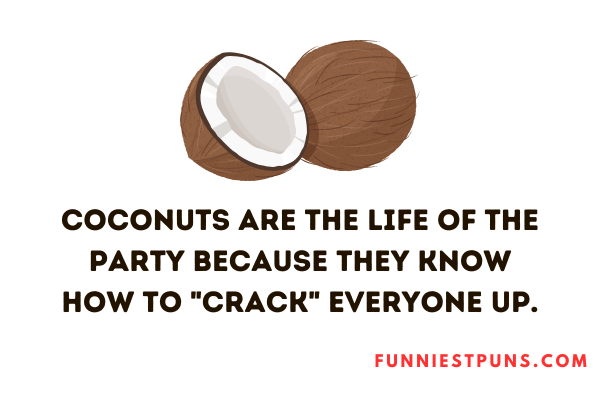 Funny Coconut Puns