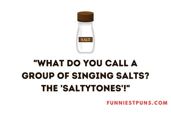 Funny Salt Puns