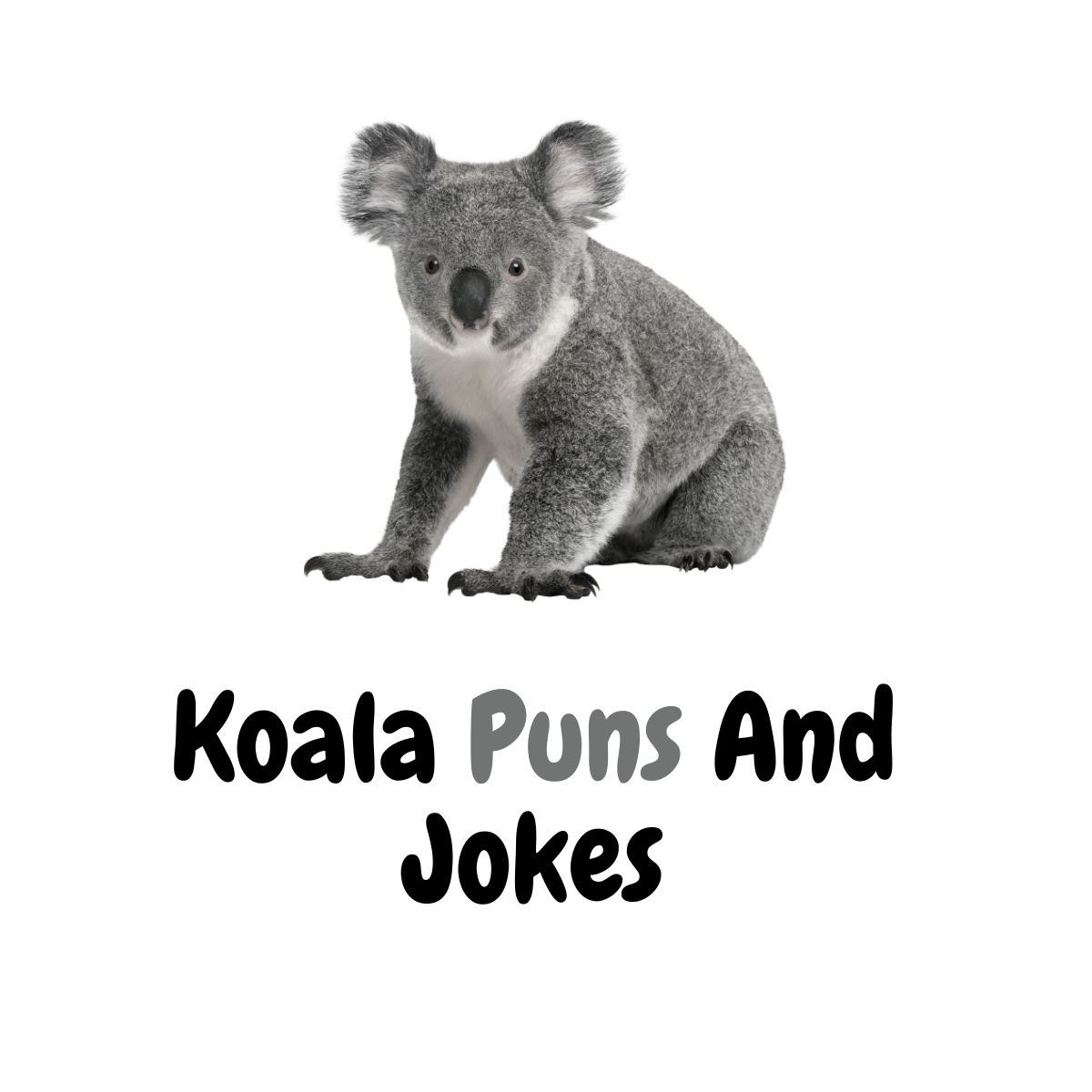 Koala Puns And Jokes