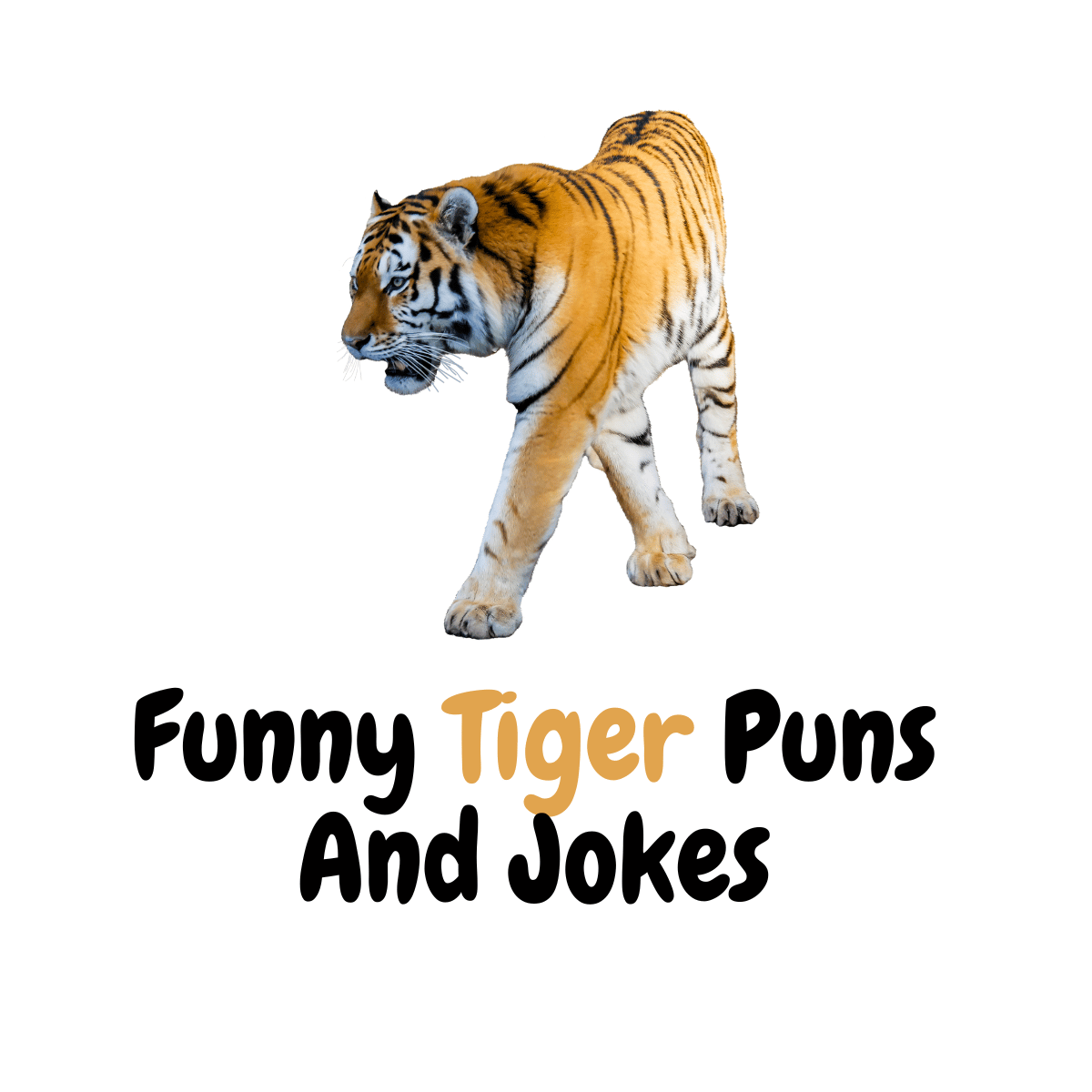 Funny Tiger Puns And Jokes