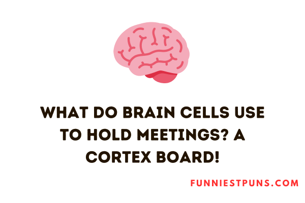 brain cell jokes