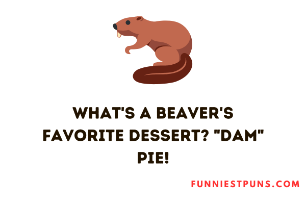 funny Beaver puns