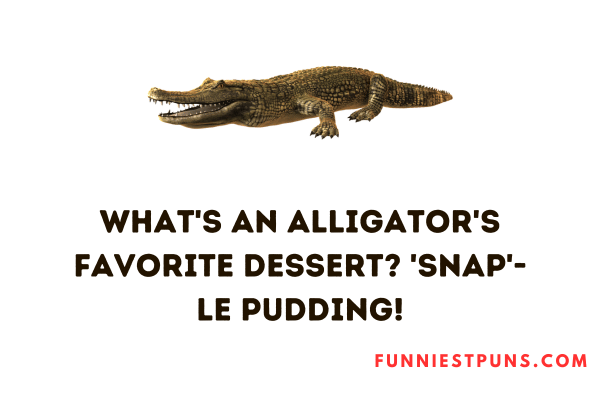 funny alligator puns