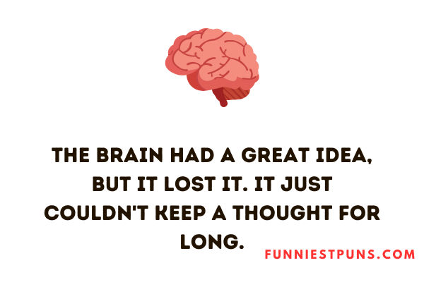 funny brain puns