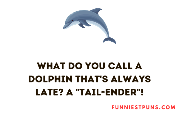 funny dolphin puns