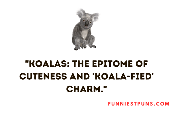 koala puns one-liners