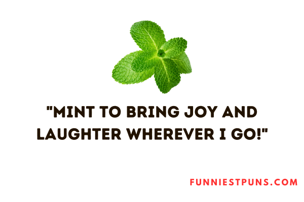 mint puns of one-liners