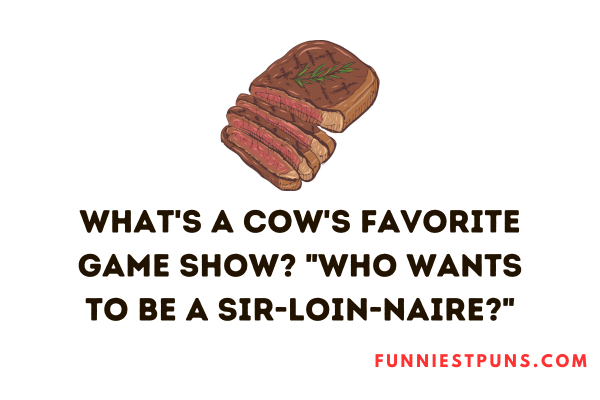 Funny beef puns