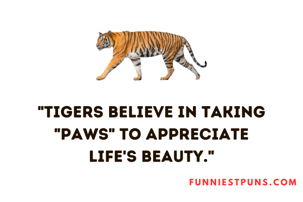 tiger puns one-liners