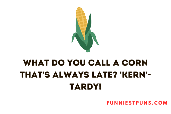 Corn Jokes and Riddles