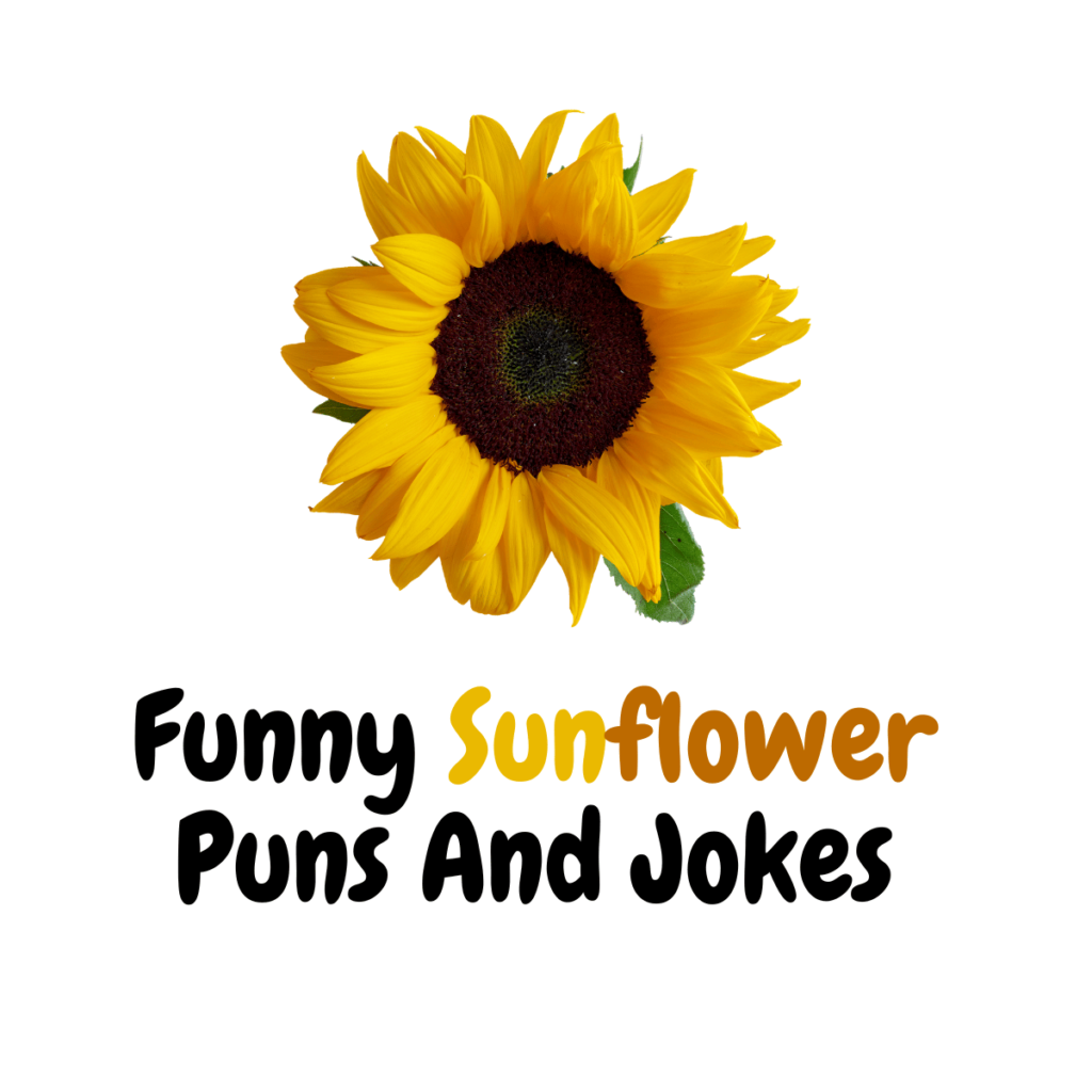 110+ Funny Sunflower Puns And Jokes - Funniest Puns