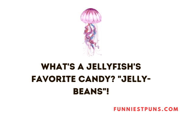 Funny Jellyfish puns