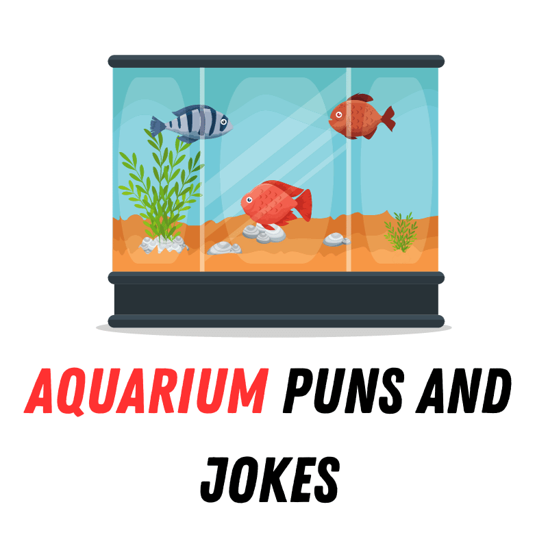Aquarium Puns And Jokes