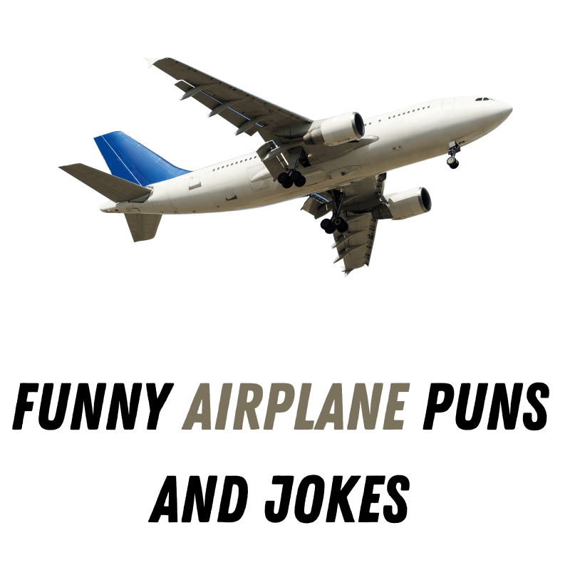 Funny Airplane Puns And Jokes