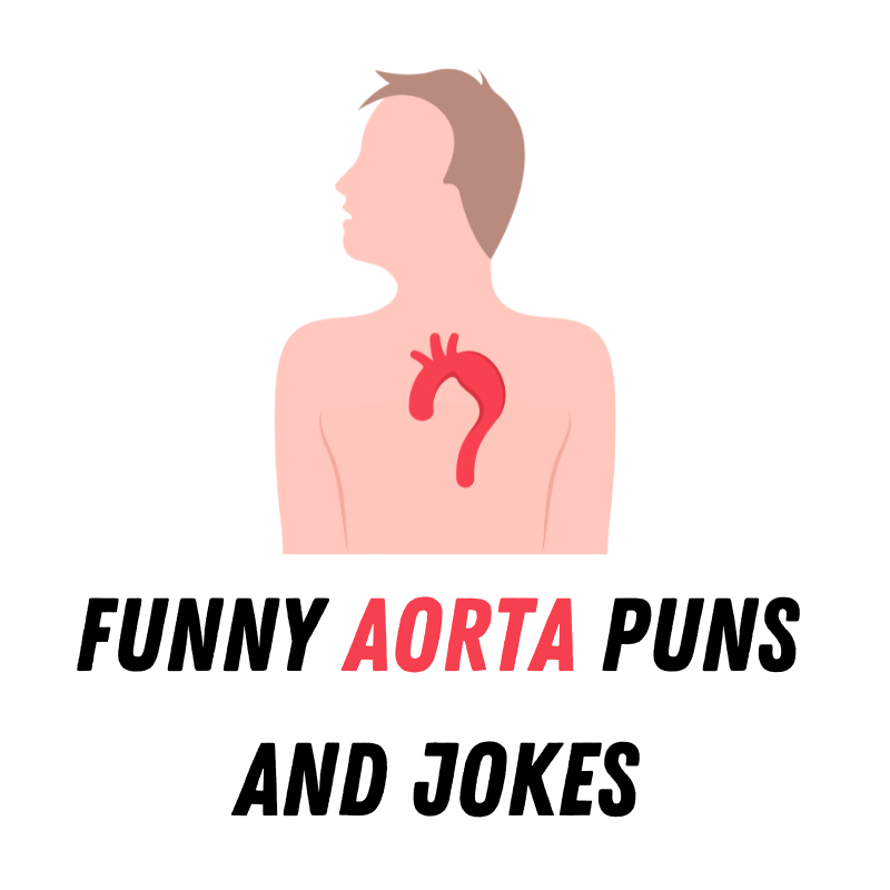 Funny Aorta Puns And Jokes