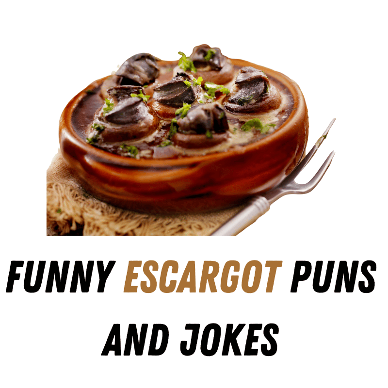 90+ Funny Escargot Puns And Jokes