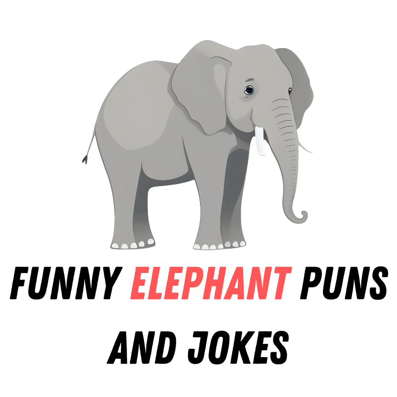 120+ Funny Elephant Puns And Jokes: Elephantastic Humor