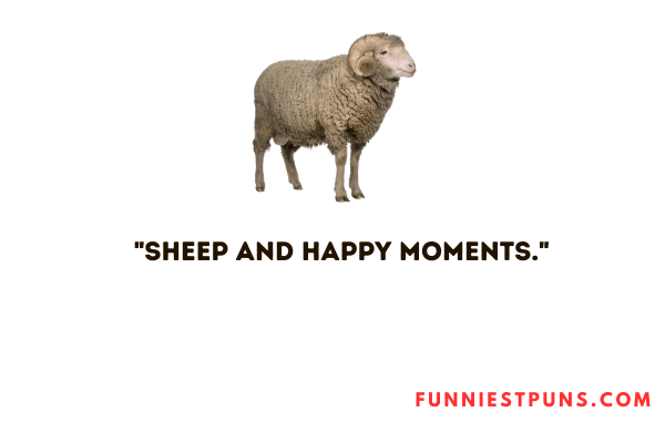 Funny Sheep Puns Captions