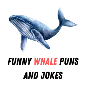 Funny Whale Puns And Jokes