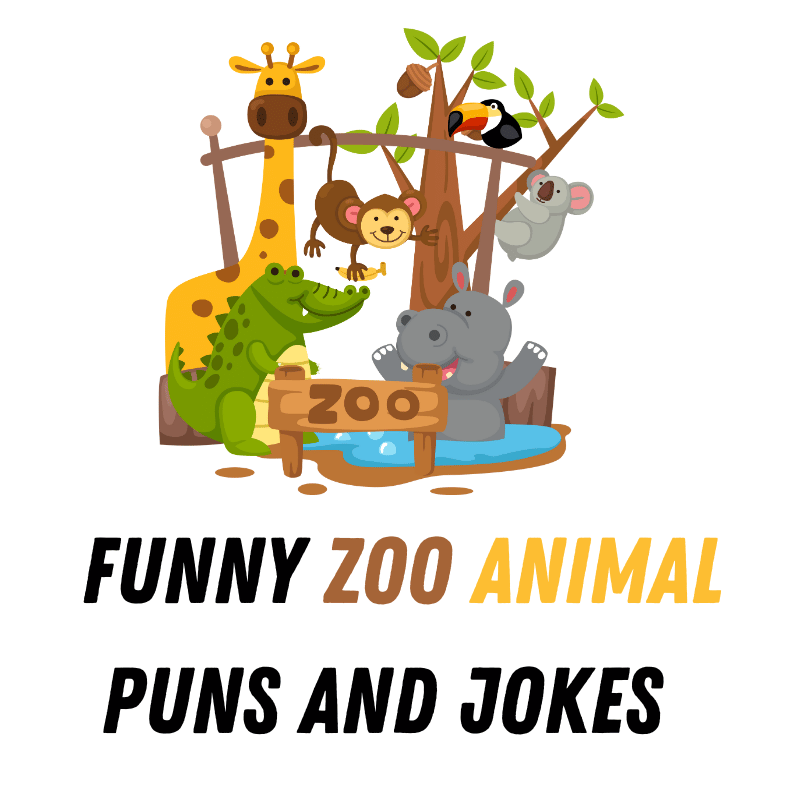 Funny Zoo Animal Puns And Jokes