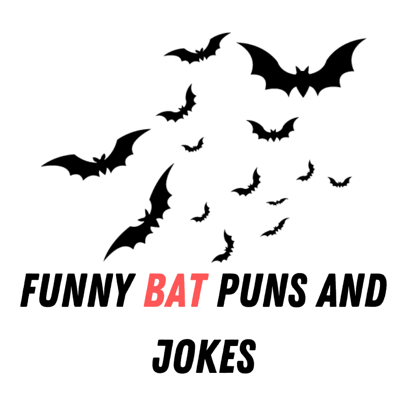 Funny bat Puns And Jokes