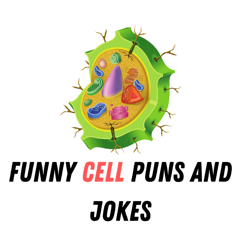 funny cell puns and jokes