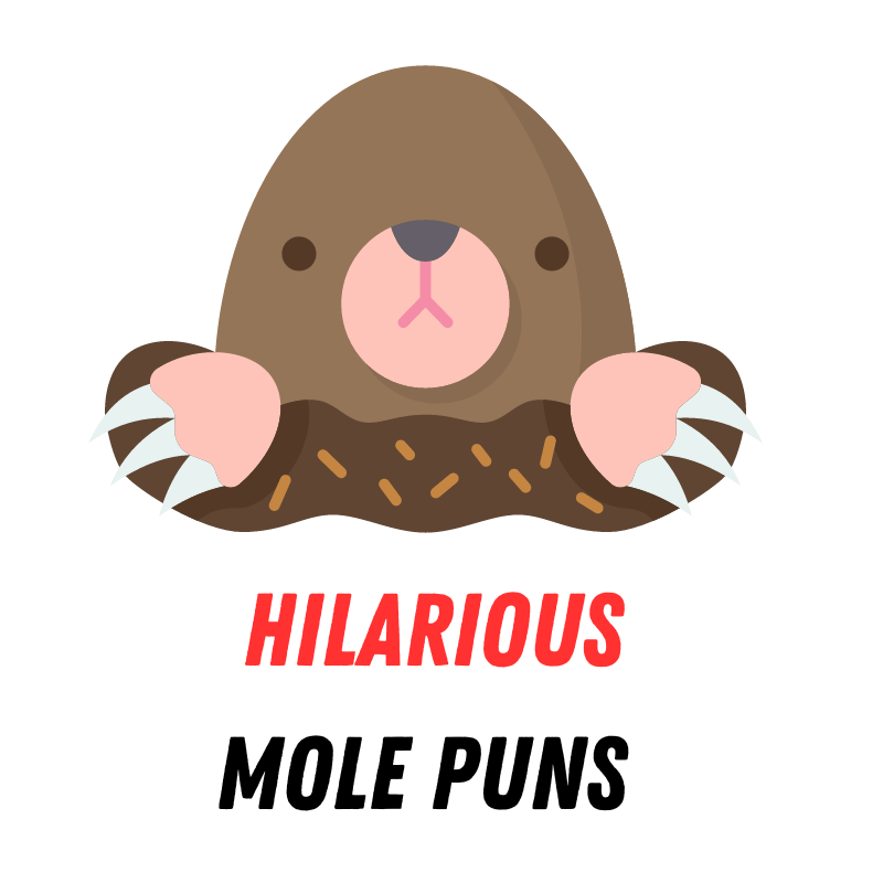 120+ Funny Mole Puns: Mole-tastic Humor