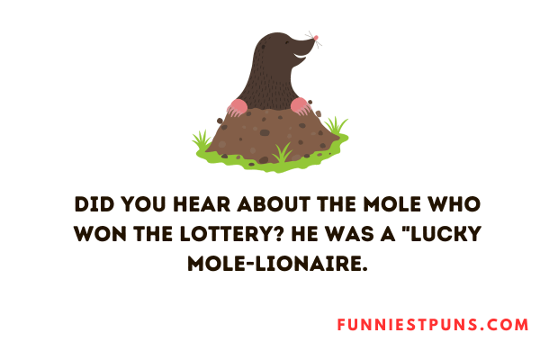 Funny Mole puns